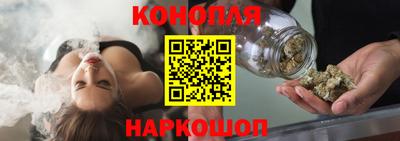 гидра Новозыбков