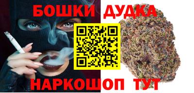 гидра Новозыбков