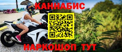 гидра Новозыбков