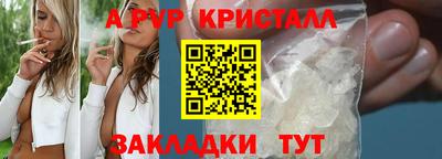 гидра Новозыбков
